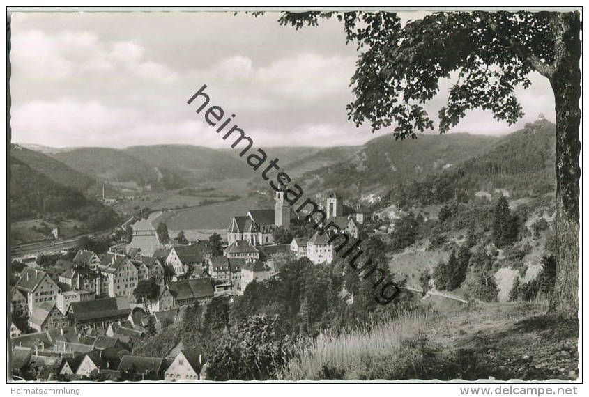 Horb Am Neckar - Foto-Ansichtskarte - Verlag Cramers Dortmund - Horb