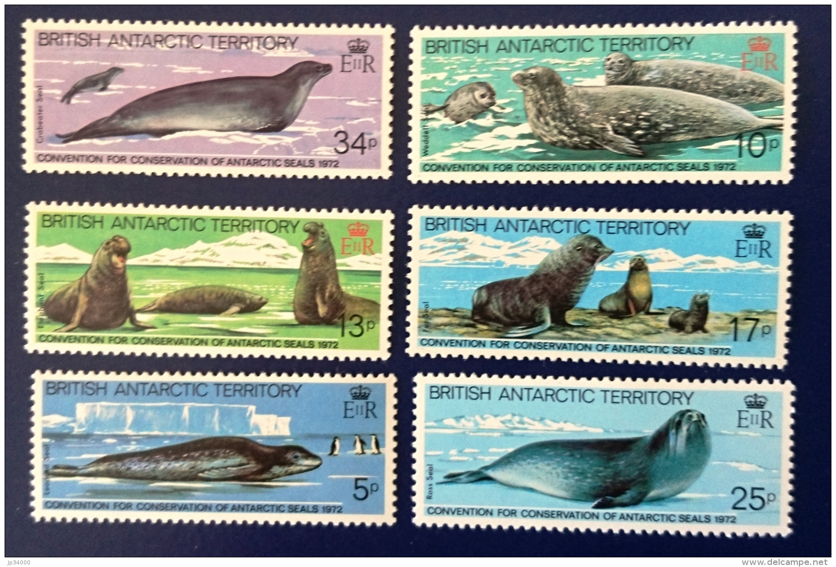 BRITISH ANTARTIC TERRITORY - BAT, Faune Marine,  Mammifères Marins Yvert 118/23** MNH. - Dauphins