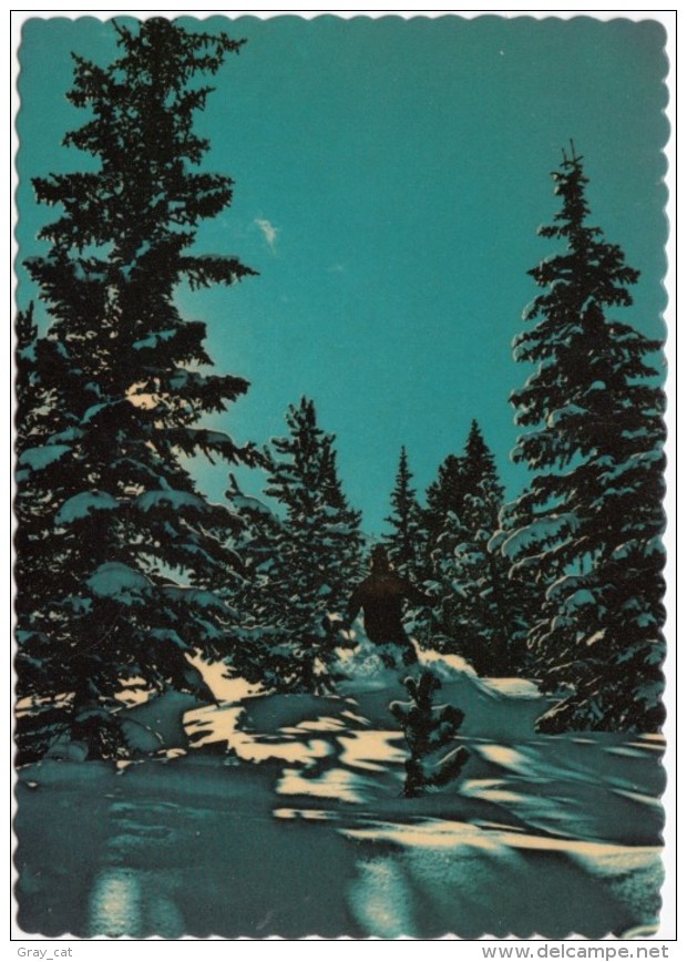 Skiing In Rocky Mountain Beauty, Unused Postcard [18871] - Rocky Mountains