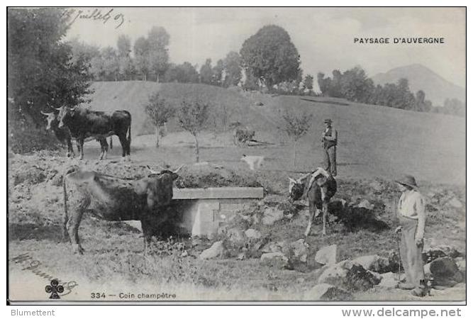 CPA AUVERGNE Type Métier Circulé - Auvergne