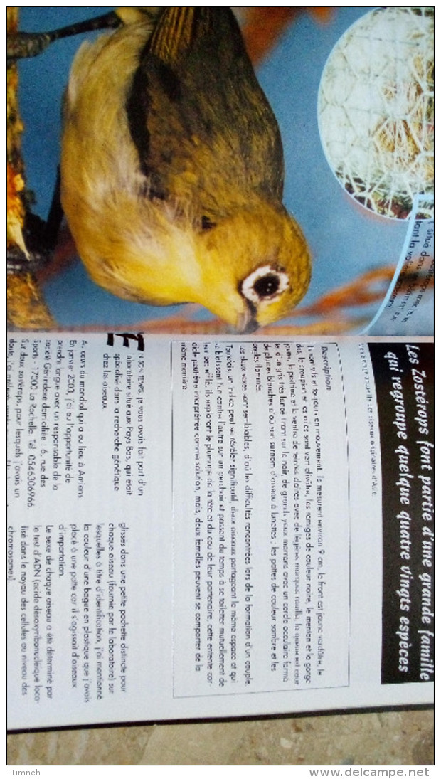 N°59 JUIN&JUILLET 2003 - L' Envol Magazine De La Fédération Française D' ORNITHOLOGIE - OISEAUX - Animals