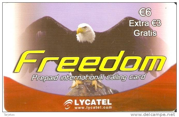 TARJETA DE ESPAÑA DE UN AGUILA (EAGLE-BIRD) - Arenden & Roofvogels