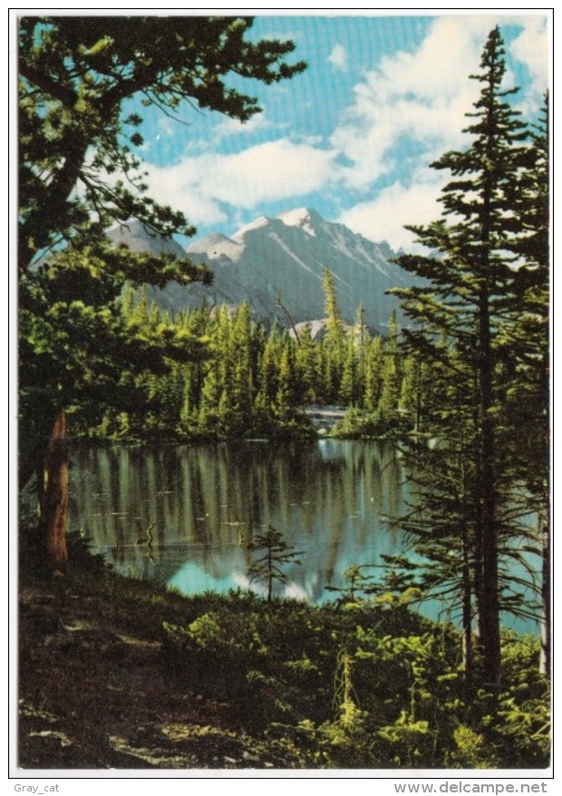 Nymph Lake In Rocky Mountain National Park, Colorado, Unused Postcard [18874] - Rocky Mountains