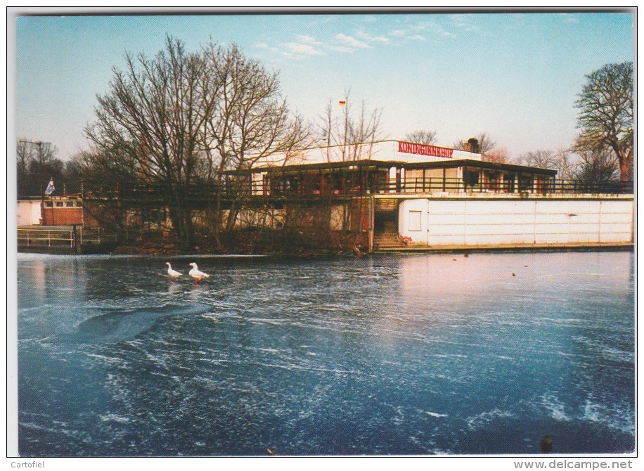 OOSTENDE-MARIA-HENDRIKAPARK-KONINGINNENHOF-UITGAVE-DE KARPERVISSERS-NIET VERSTUURD-ZIE 2 SCANS-MOOI! ! ! - Oostende