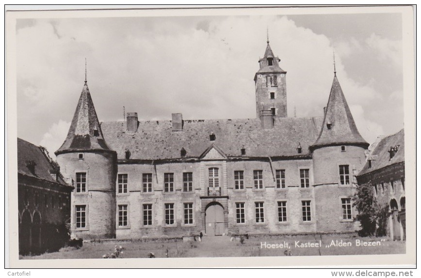 HOESELT-BILZEN-KASTEEL-CHATEAU-ALDEN BIEZEN-UITGAVE DRUKKERIJ HELLINX-NIET VERSTUURD-ZIE 2 SCANS - Hoeselt