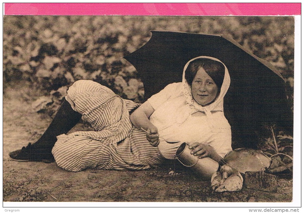 Notre PICARDIE , La Betterave Et Le Sucre , REPAS D'UNE BINEUSE , Vieux Métier - Picardie