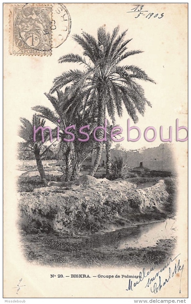 BISKRA - ALGERIE - lot de 20 CPA - toutes les cpa sont scannées  -