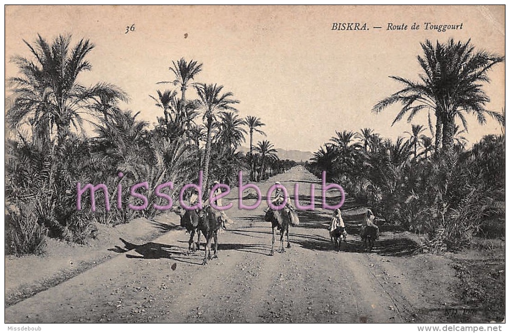 BISKRA - ALGERIE - lot de 20 CPA - toutes les cpa sont scannées  -