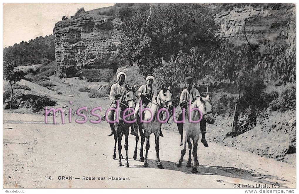 ORAN - ALGERIE - lot de 50 CPA - toutes les cpa sont scannées  -