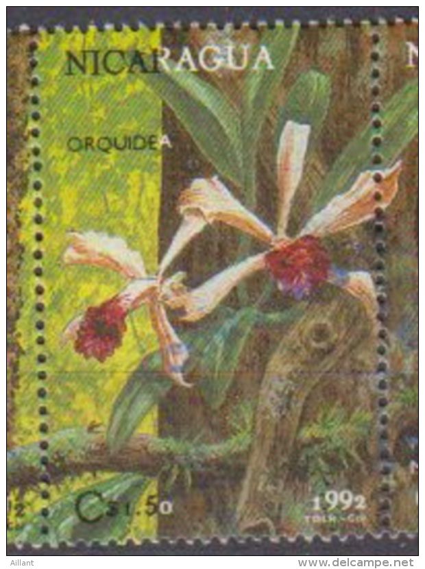 Nicaragua. 1992.  Orchidée Et Papillon . Orchid . Used - Orchidées