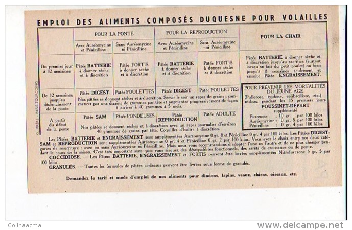 Publicité / Aliments Pour Animaux / N° 34  Patées,patée " DUQUESNE " Montfort 27 / Dessin De Jean Louis Pesch - Advertising