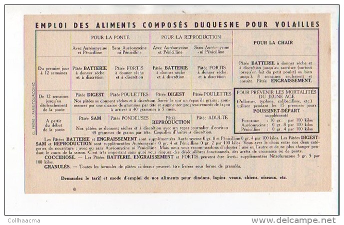 Publicité / Aliments Pour Animaux / N° 31  Patées,patée " DUQUESNE " Montfort 27 / Dessin De Jean Louis Pesch - Advertising