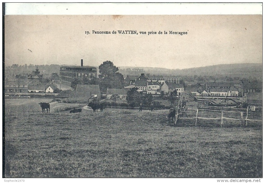 NORD - 59  - WATEN Canton De Wormhout - 2500 Hab - 19 - Panorama Vue Prise De La Montagne - Wormhout