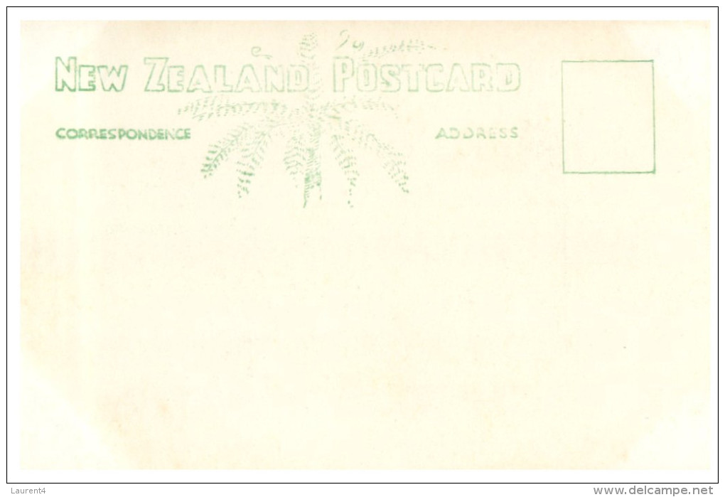 (157) Very Old Postcard - Carte Ancienne - New Zealand  - Wellington - New Zealand