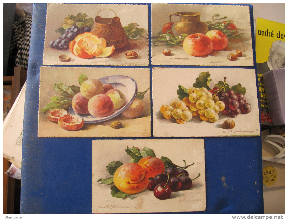 CPA - FRUITS - Illustré Par KLEIN - Lot De 5 Cartes. - Klein, Catharina