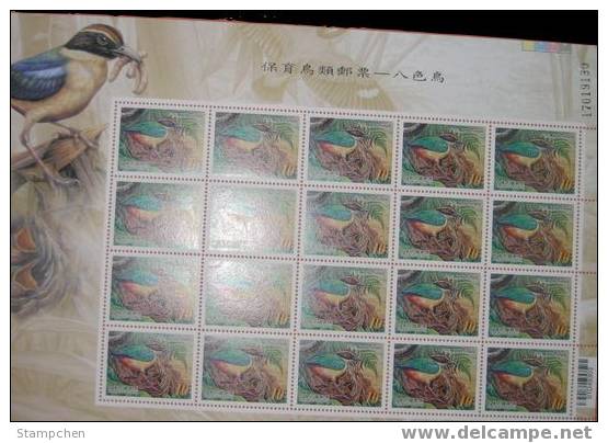 Taiwan 2006 Conservation Of Bird Stamps Sheets - Fairy Pitta Fauna Resident Mushroom - Blocks & Kleinbögen