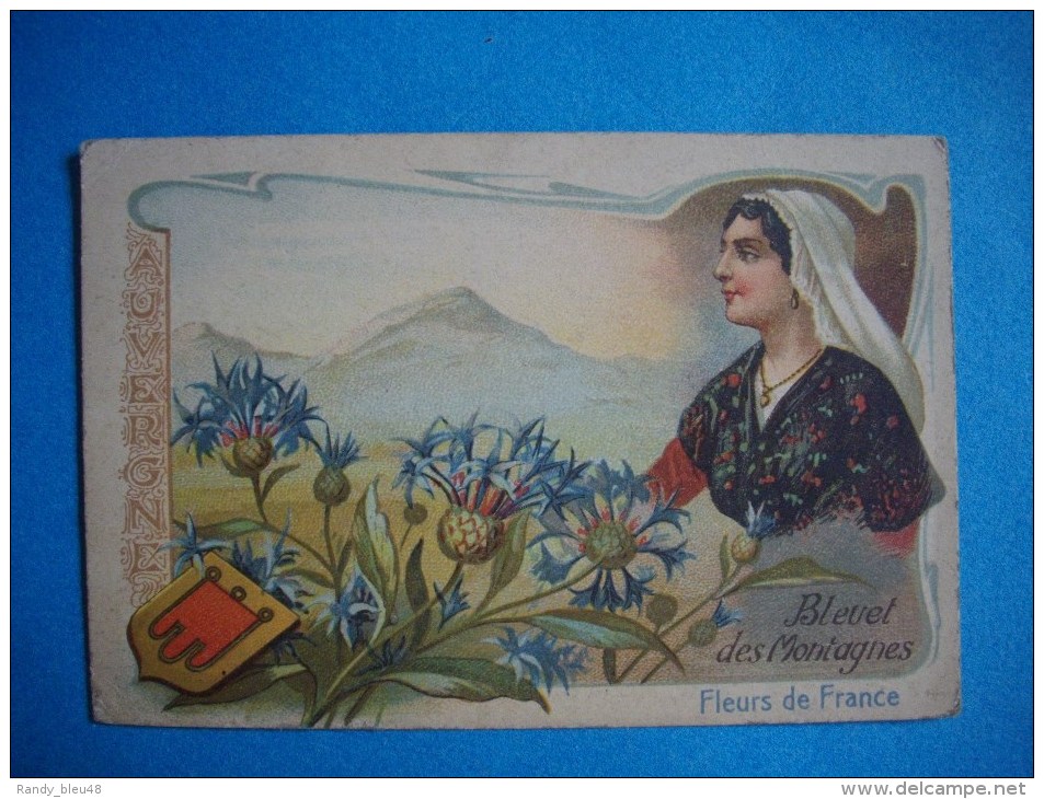 CHROMO  -  Fleurs De France  -  AUVERGNE  -  Bleuet Des Montagnes  -  10,5 X 7 Cms  - - Autres & Non Classés