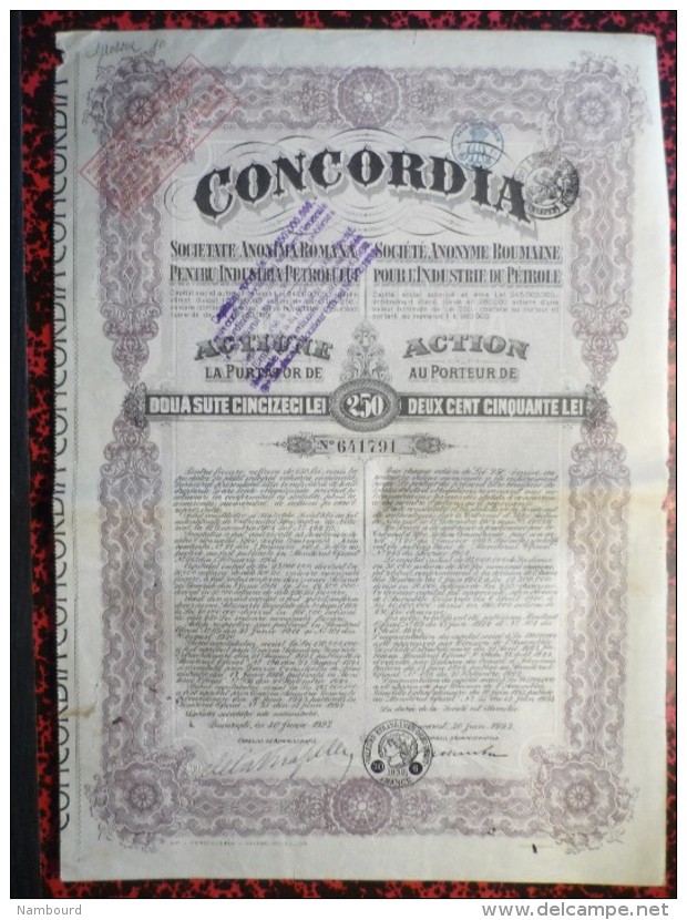 Concordia Actions De 250 Lei 30 Juin 1923 10 Actions - A - C