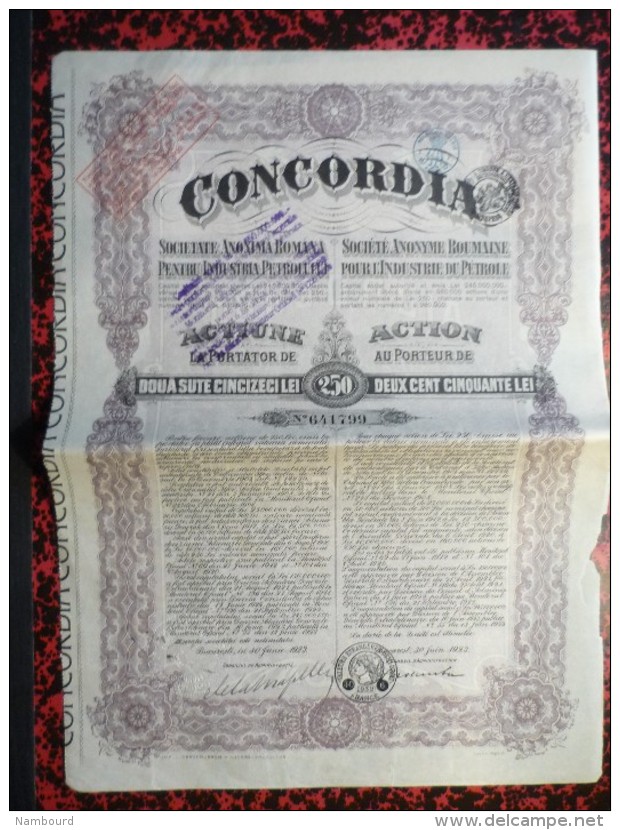 Concordia Actions de 250 Lei 30 Juin 1923 10 actions