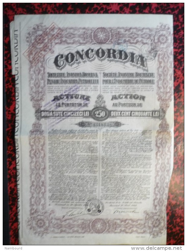 Concordia Actions de 250 Lei 30 Avril 1924 7 actions