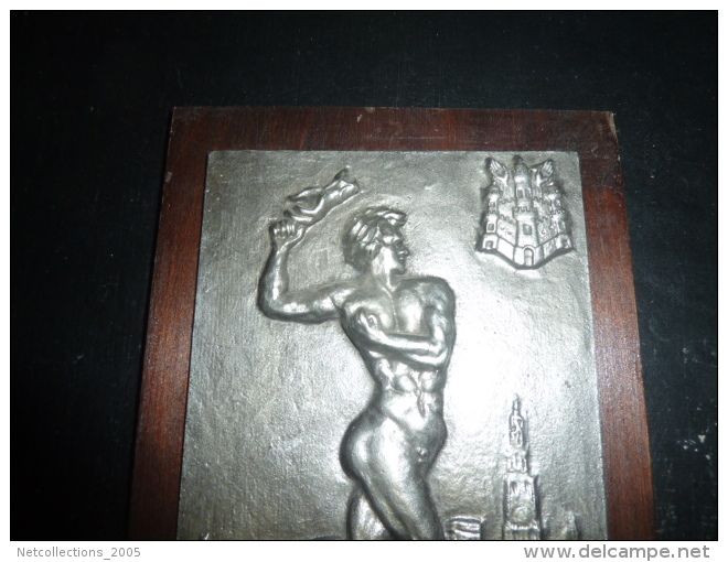 SUPERBE PLAQUE EN FER SUR BOIS SPORT AVIRON MATCH IV NATIONS WYNEGEM-ANVERS 1953 - AVIRON SPORT - Aviron