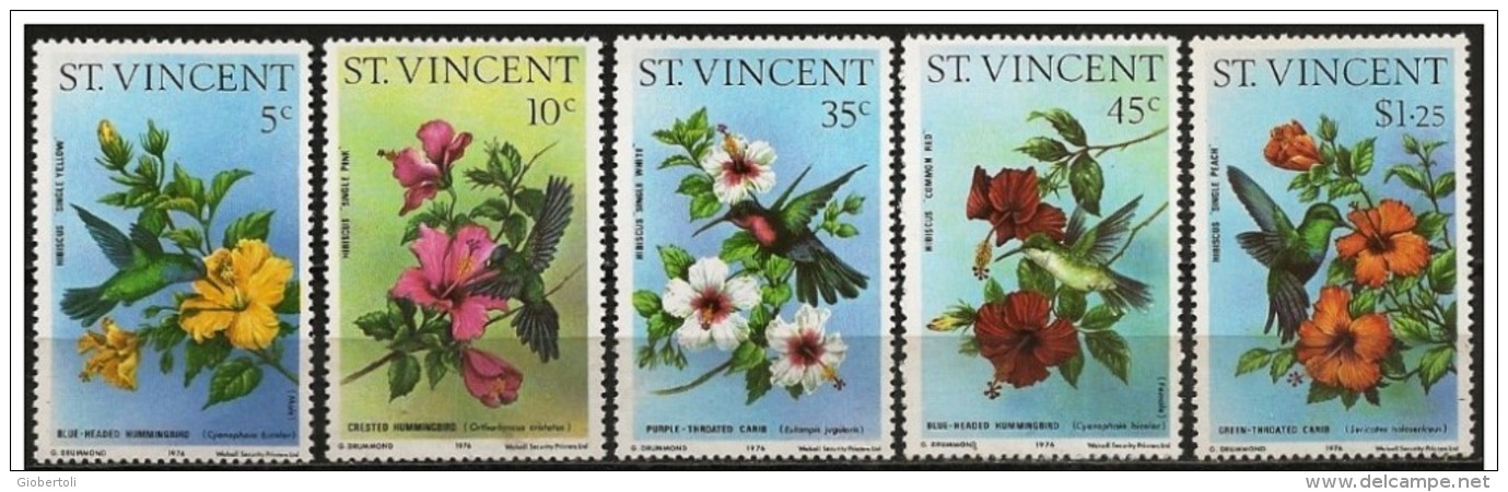 St. Vincent: Colibrì E Hibiscus, Hummingbirds And Hibiscus, Colibris Et Hibiscus - Segler & Kolibris