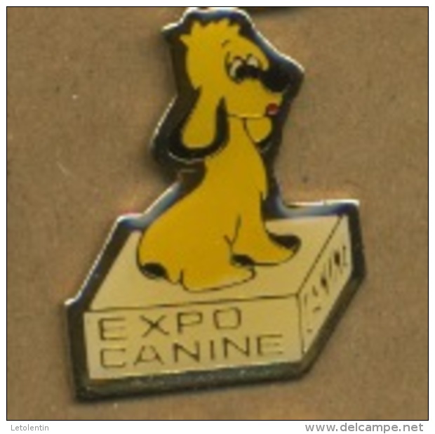 G# - PIN´S:  EXPO CANINE - Animaux