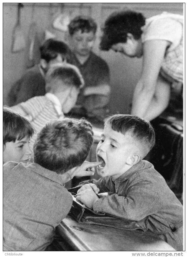 PHOTOGRAPHE   / DOISNEAU    ILL  432  /  ED DU DESASTRE   N° RD 50    CPM / CPSM  10 X 15 TBE  NEUVE - Doisneau