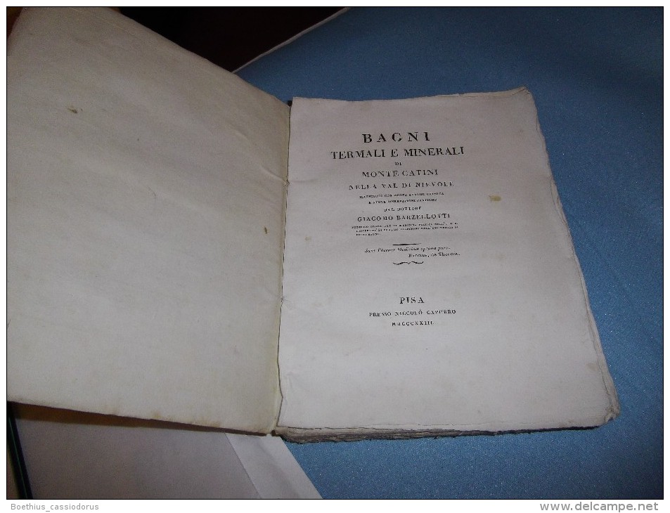 BAGNI TERMALI E MINERALI DI MONTE CATINI NELLA VAL DI NIEVOLE 1823 GIACOMO BARZELLOTTI - Livres Anciens