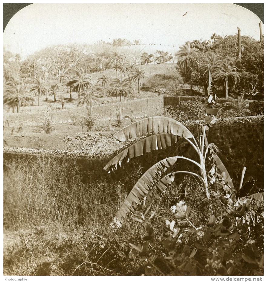 Indes Bombay Tour Du Silence Religion Parsi Ancienne Photo Stereoscope Underwood 1903 - Stereoscopic