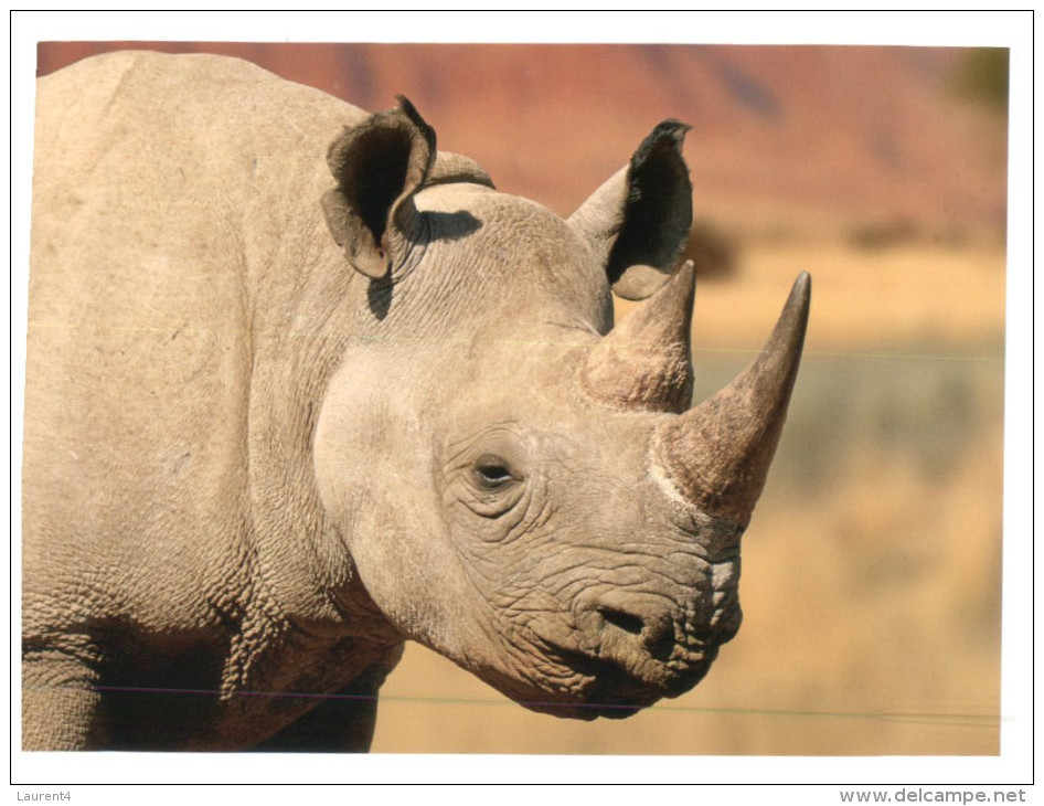 (166) WWF Rhinoceros - Rhinocéros