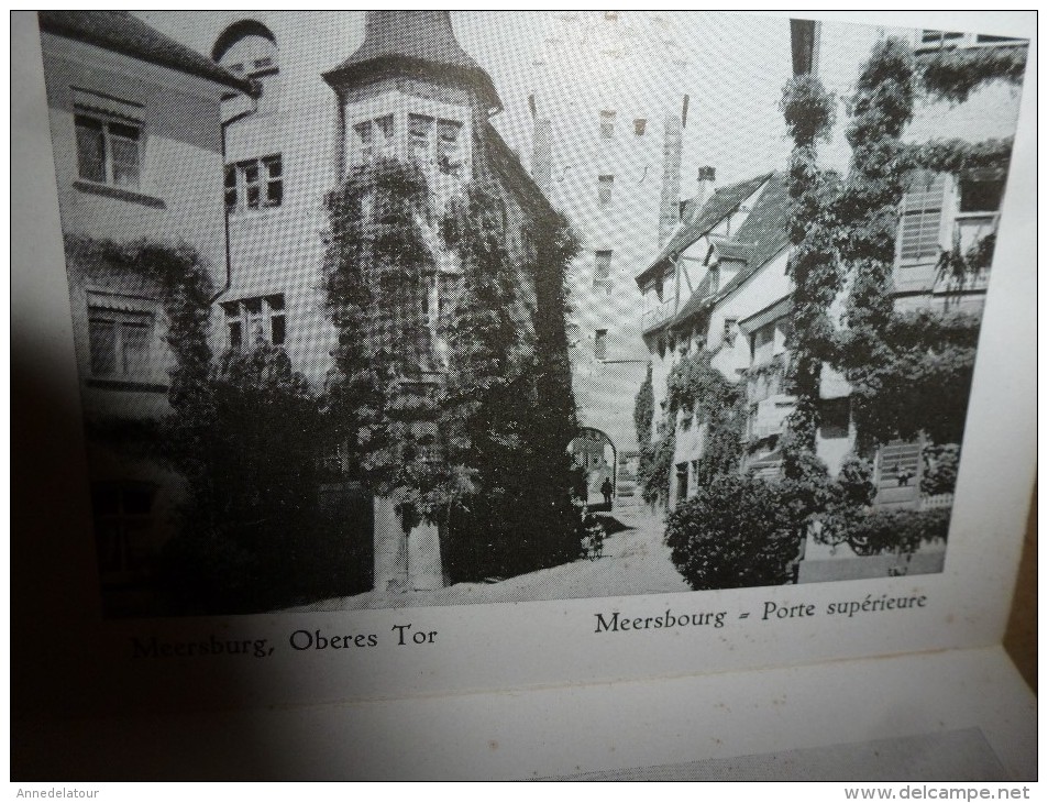 MEERSBURG DIE WEINFROHE BURGENSTADT AM BODENSEE