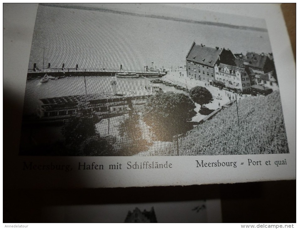 MEERSBURG DIE WEINFROHE BURGENSTADT AM BODENSEE