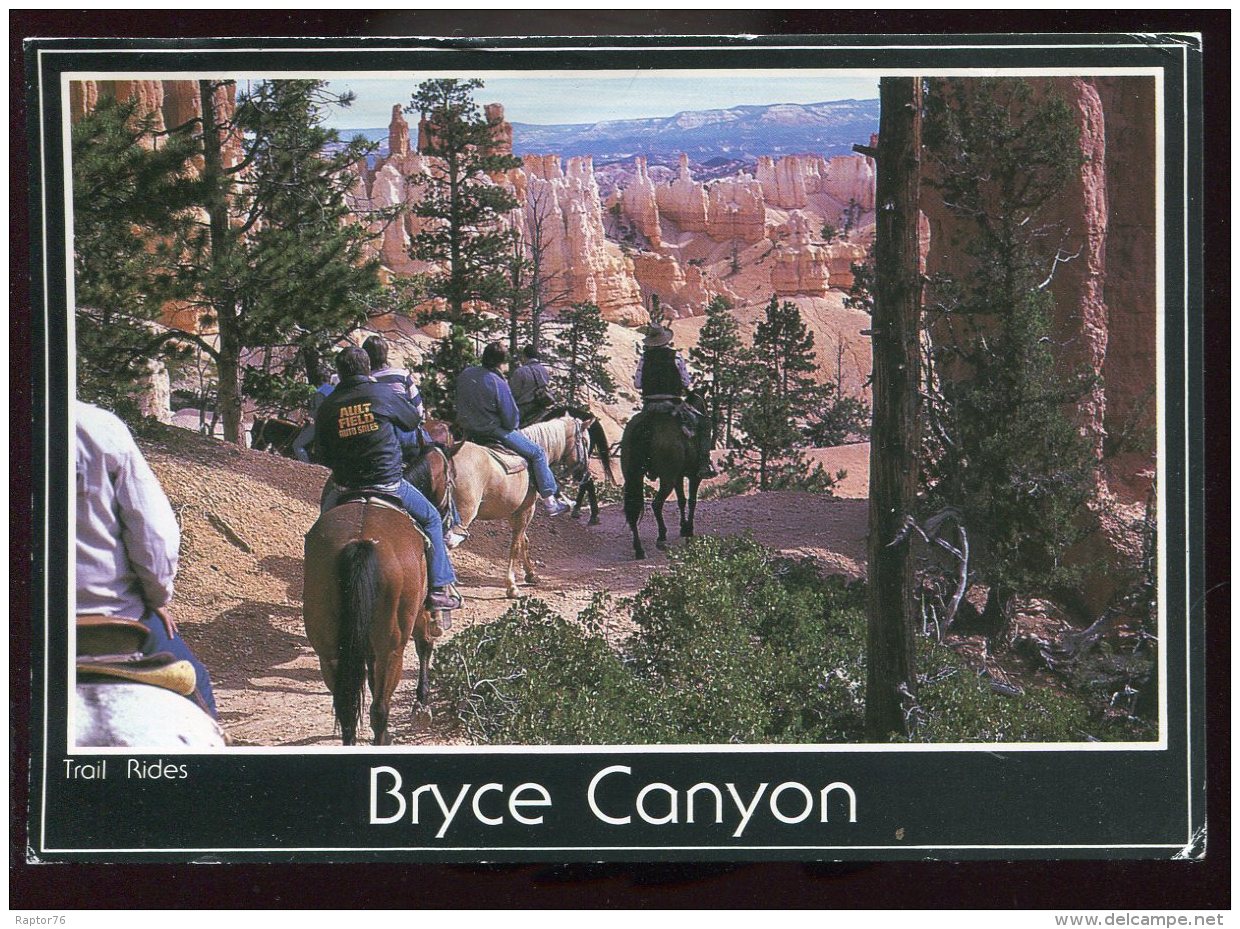 CPM Animée Etats Unis Brice Canyon Trail Ridge Chevaux - Bryce Canyon