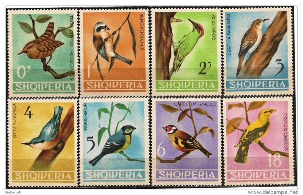 Albania/Albanie: Uccelli Diversi, Different Birds, Différents Oiseaux - Altri & Non Classificati