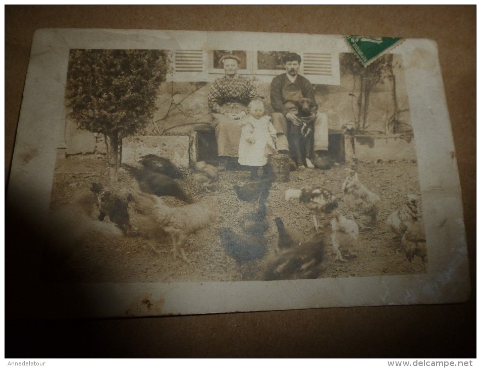 CPA Photographie D'un Couple, Jeune Enfant Debout, Le Père Tenant Le Chien Entre Ses Mains, 15 Poules Picorent 1er Plan - Photographie