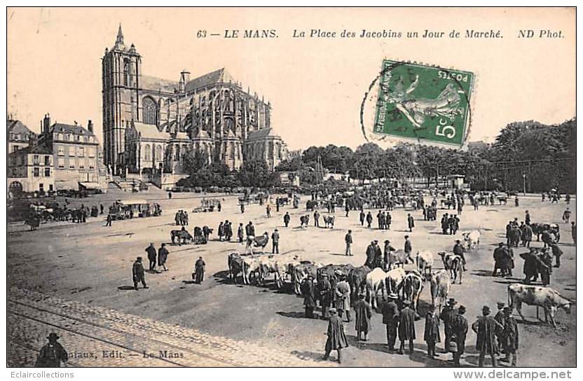 Le Mans     72      Marché Place Des Jacobins - Le Mans