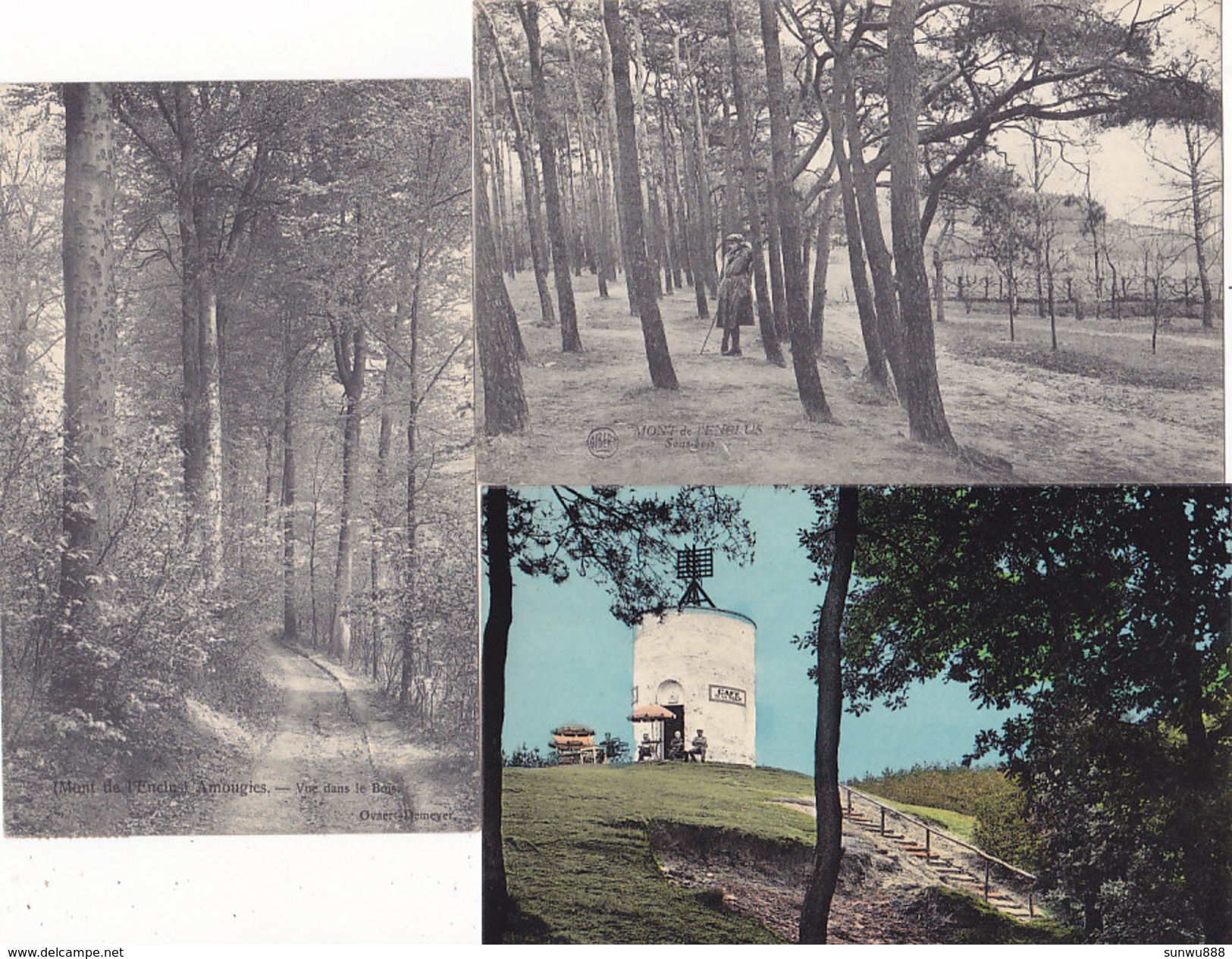 Mont-de-l'Enclus - Lot De 3 Cartes - La Tour (café Animée), Les Bois (animée) - Mont-de-l'Enclus