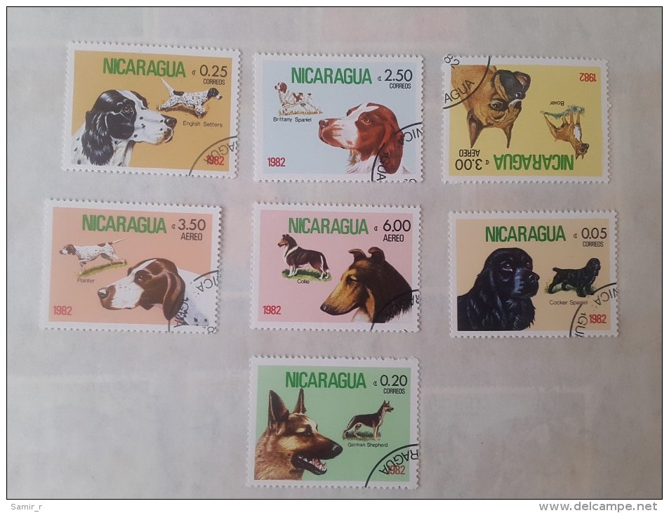 1982 Nicaragua Dogs (73) - Cani