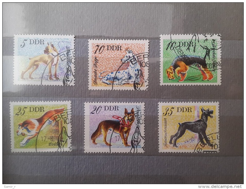 1976 Germany Dogs (73) - Dogs