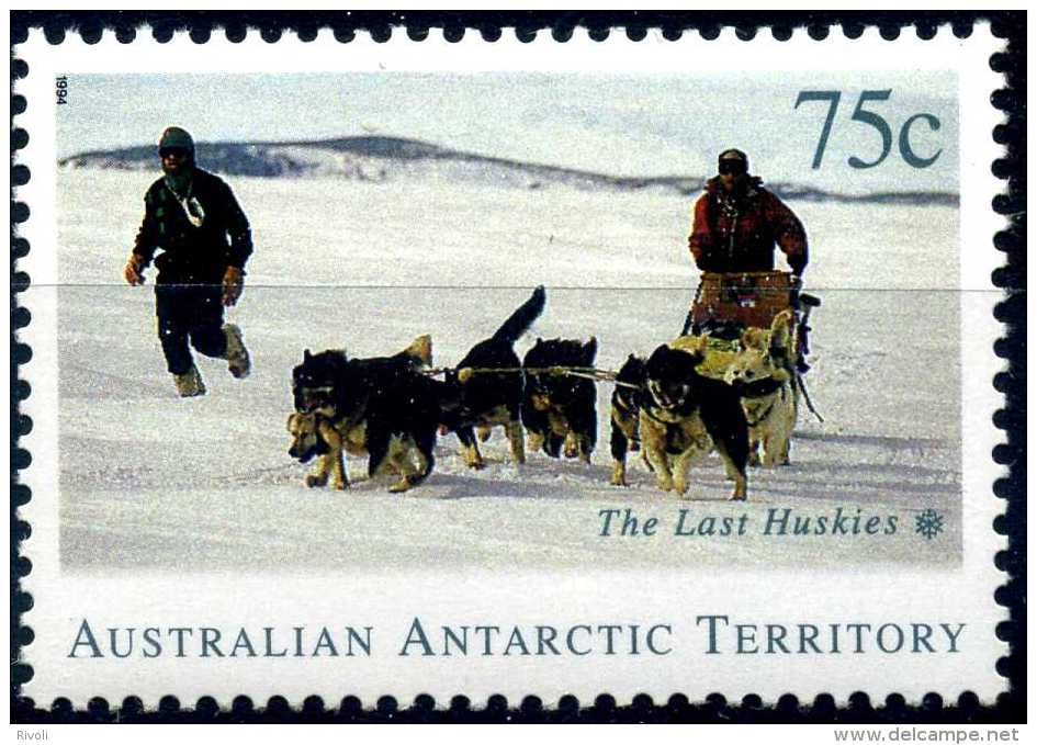 AUSTRALIE AAT 1994  Attelages De Chiens De Traineau N° YVERT 99 Neuf ** LUXE MNH - Unused Stamps