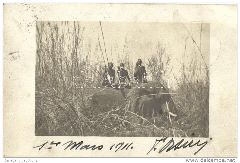 T2 1911 African Native Hunters, Photo - Zonder Classificatie