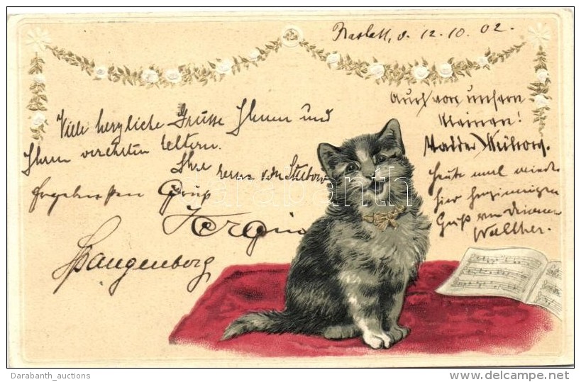 T2/T3 Cat With Music Sheet, Golden Decoration Litho, Emb. (EK) - Ohne Zuordnung