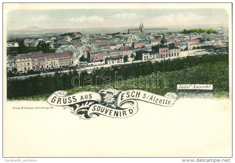 ** T2/T3 Esch An Der Alzette, 'Gruss Aus...' Total Ansicht / View - Zonder Classificatie