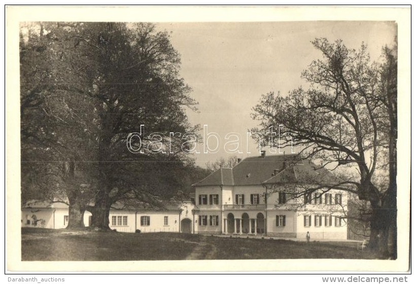 * T1/T2 Zsibó, Jibou;  Báró Wesselényi Kastély / Castle, Foto 'Erna' Photo - Zonder Classificatie