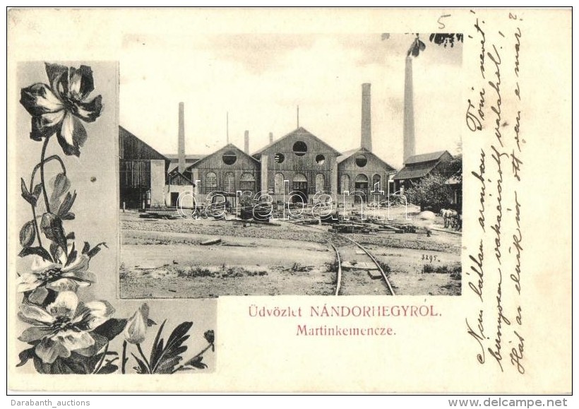 T2 Nándorhegy, Otelu Rosu; Martin Kemence Acélgyár / Steel Factory, Floral - Non Classés