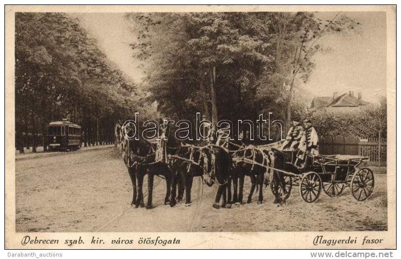 * T3 Debrecen, Nagyerdei Fasor, Szab. Kir. Város ötös Díszfogata, Villamos - Ohne Zuordnung