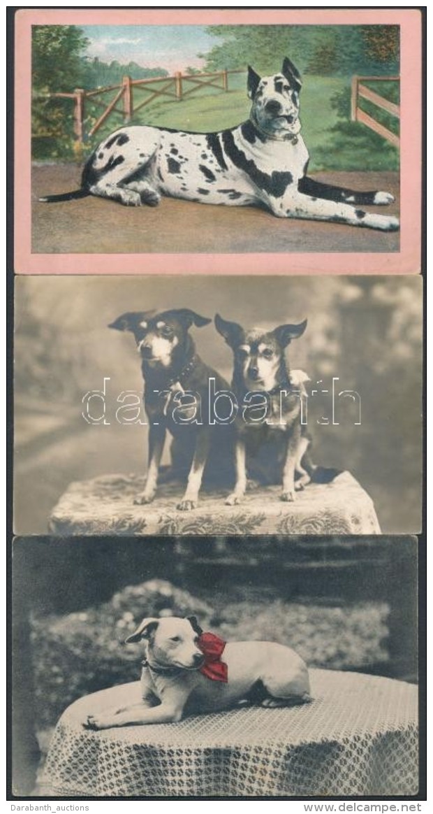 ** * 8 Db RÉGI Motívumos Képeslap; Kutya, Macska / 8 Pre-1945 Motive Postcards; Dog, Cat - Unclassified
