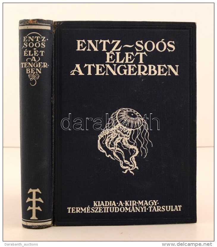 Entz Géza - Soós Lajos: Élet A Tengerben. 26 Táblával és 112... - Ohne Zuordnung