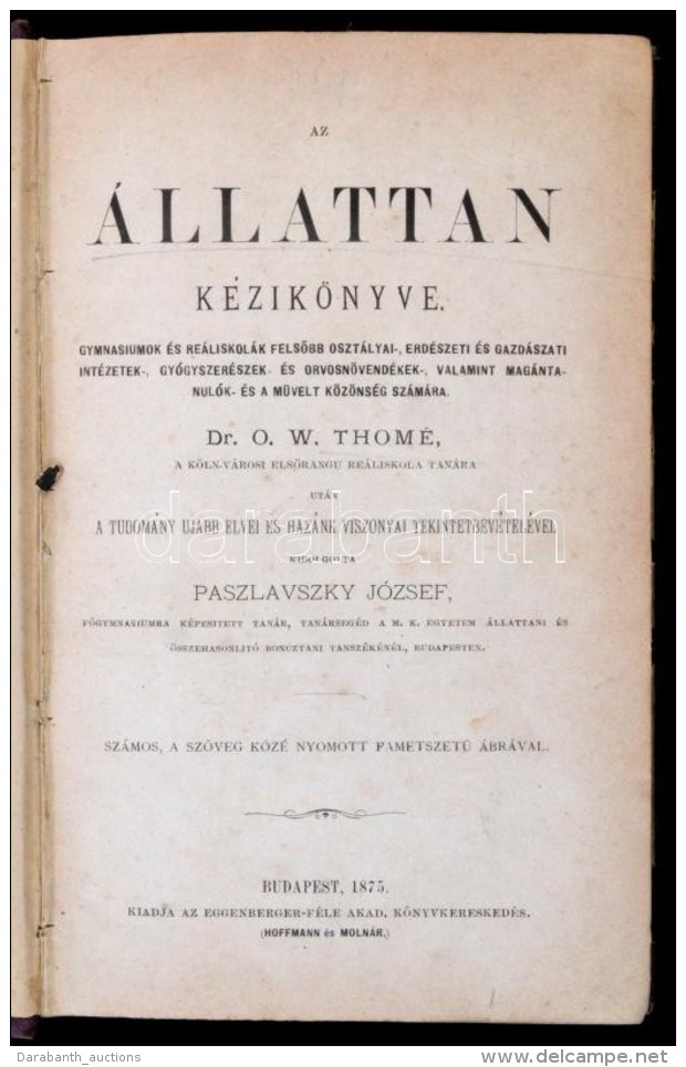 Paszlavszky József: Az állattan Kézikönyve. Gymansiumok és... - Unclassified